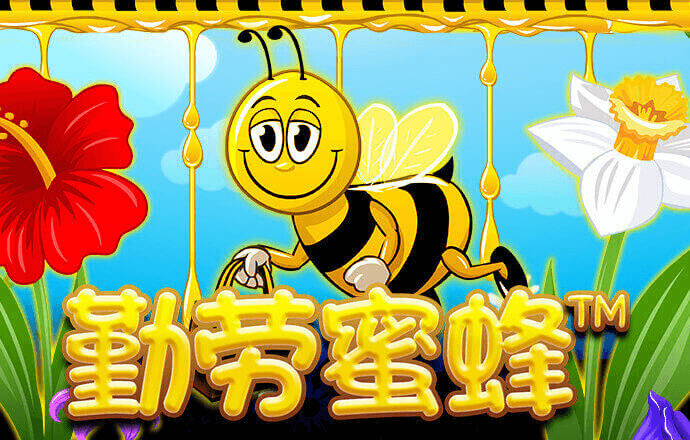 亚娱体育